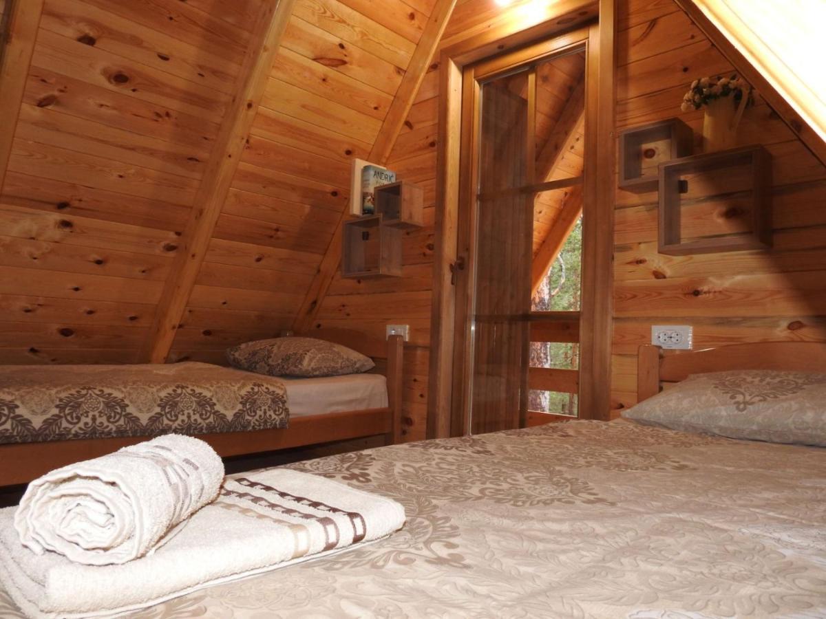 The Pine Forest Cottage Žabljak Εξωτερικό φωτογραφία