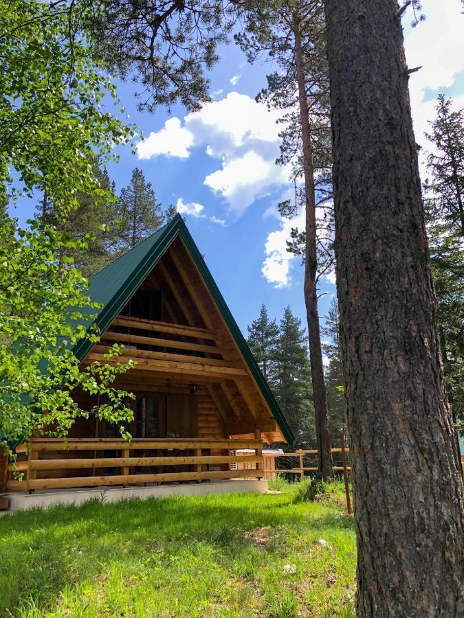 The Pine Forest Cottage Žabljak Εξωτερικό φωτογραφία